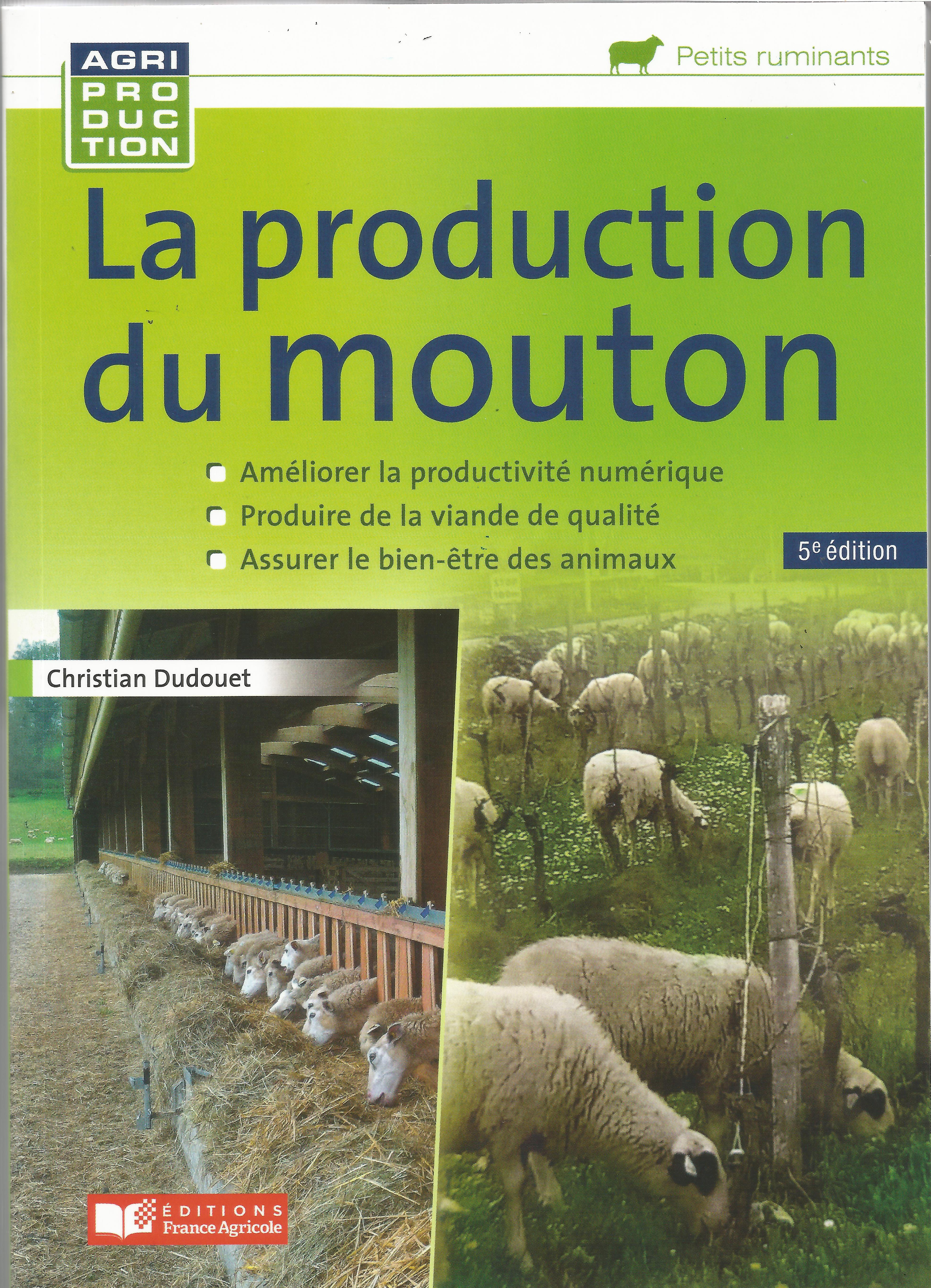 la production du mouton